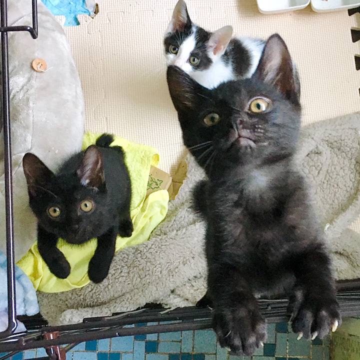 Eae72888 f21f 44e9 b54c 64bbce4ee4b6 1626056667852