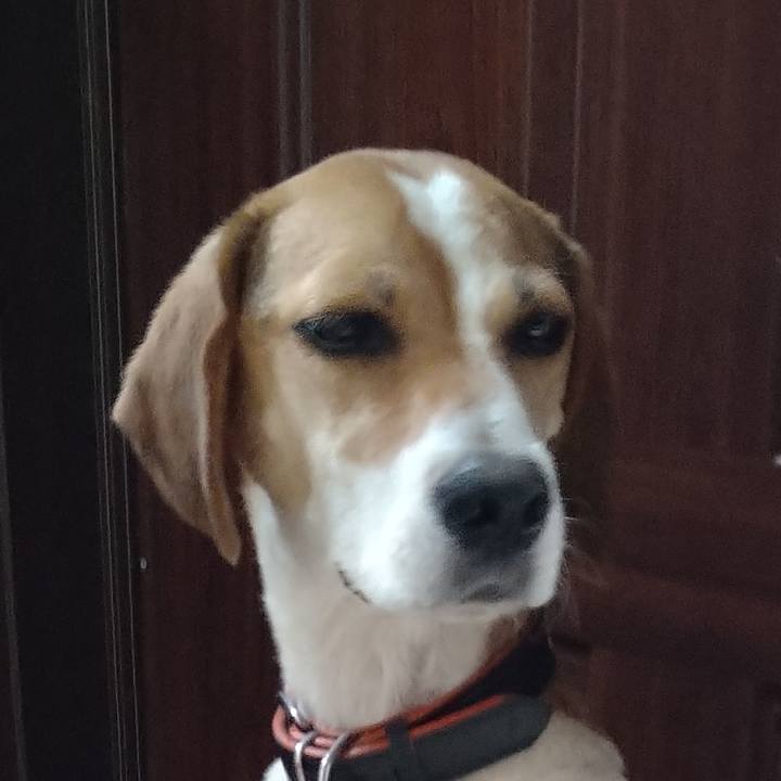 Eae72aae b364 4d39 b643 8e34dfacafb2 1631001304324