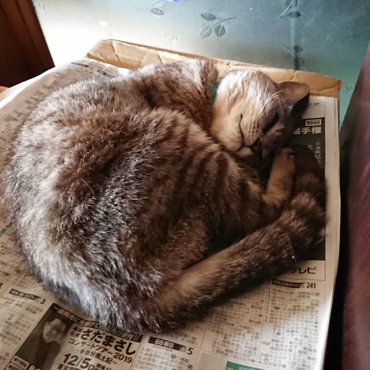 Eae7804d 3d9f 4c29 b730 048f095d12f3 1568595079678