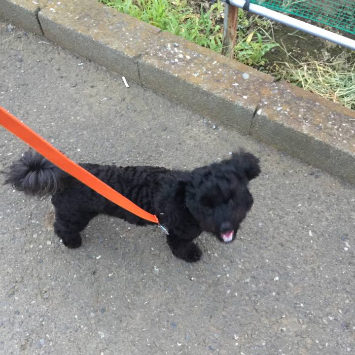 Eae7830e fb9e 4cc8 83fe 4b001394ce92 1531284806698