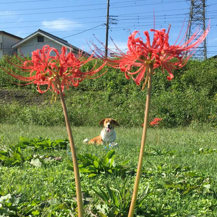 Eae7b27c 4ae3 4dbd 91af 9fe119ec6e8c 1601428812833