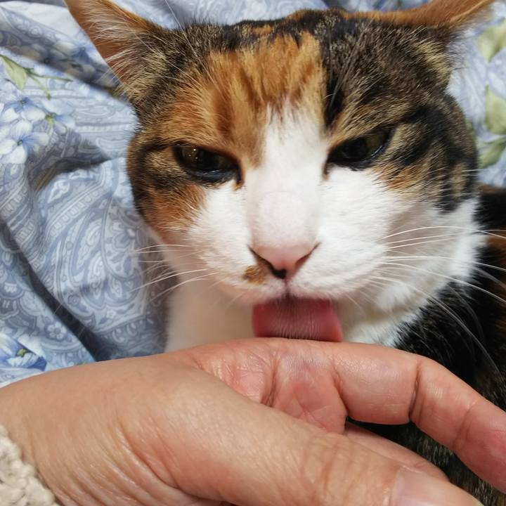 Eae7ed93 d0fd 4ed8 9ff2 691a8af87c5e 1546213725354