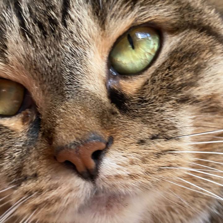 Eae7fb7f 96ef 4616 a462 a3eee011dd3d 1667084345973