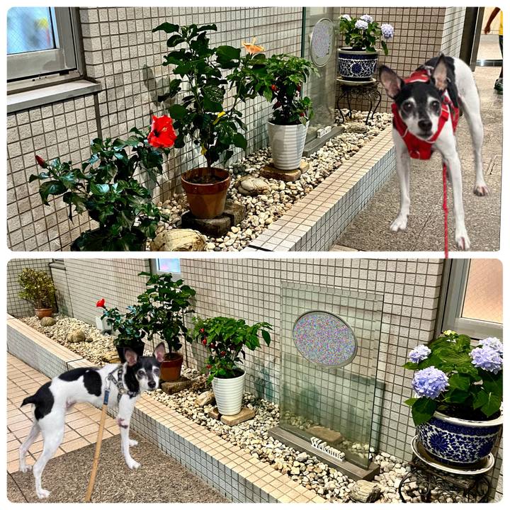 Eae8044e 45ae 4a07 b522 f9d228e99084 1663801314832