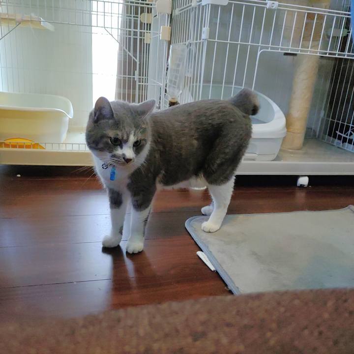 Eae83b33 d907 4c1a aac6 5e4dd149e2bd 1720420437522