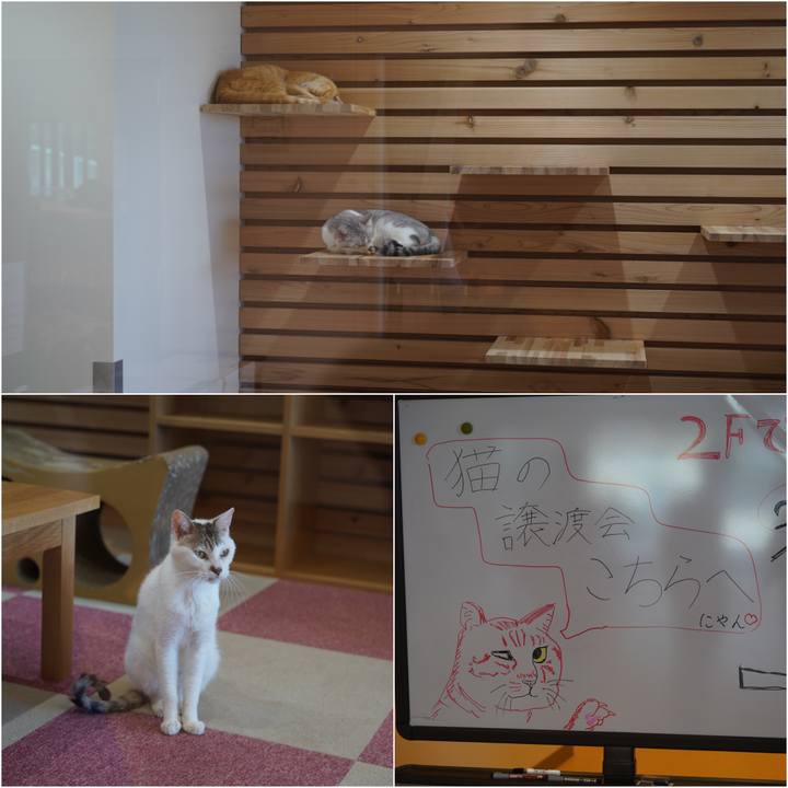 Eae843ce 450e 4a62 a94e 31038722188f 1566742431688