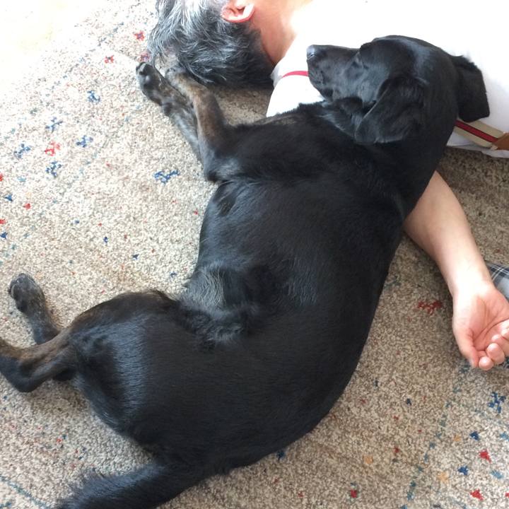 Eae84b37 fc3c 4768 93f6 e839e06f0848 1525349528848