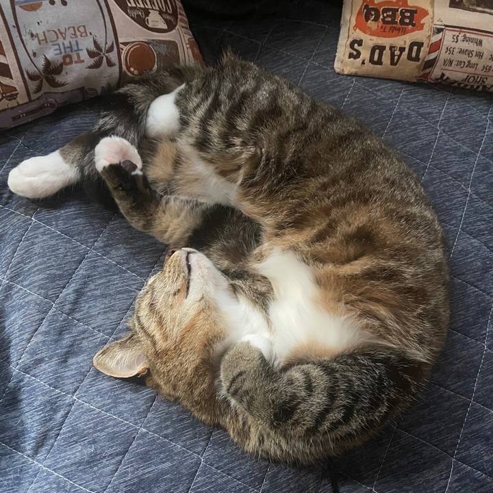 Eae86355 9da8 4ed7 b990 f0ae59c1e548 1588381525292