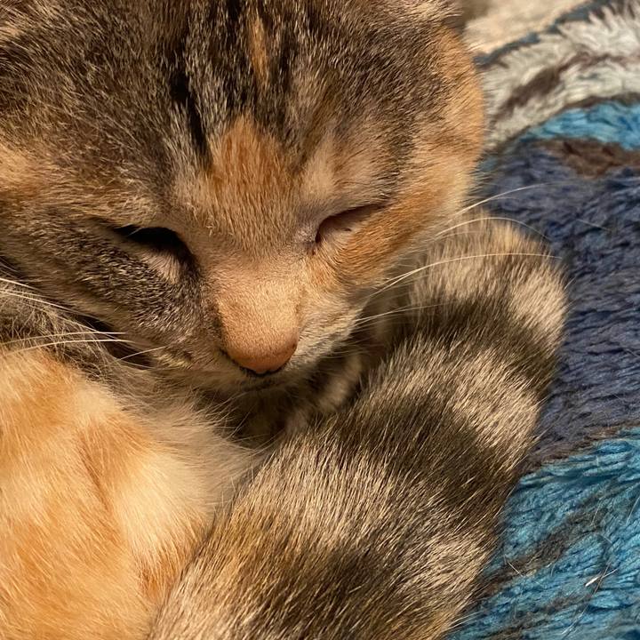 Eae88d99 3496 4e62 b026 d16900d045cb 1582632030509