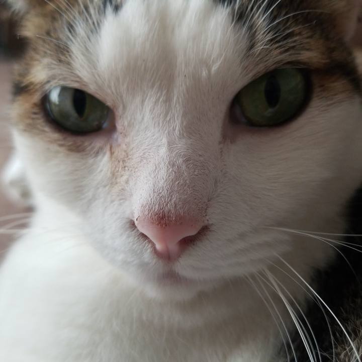 Eae8c72e 4d79 44d9 a242 c4e4e6dcc8db 1562980807930