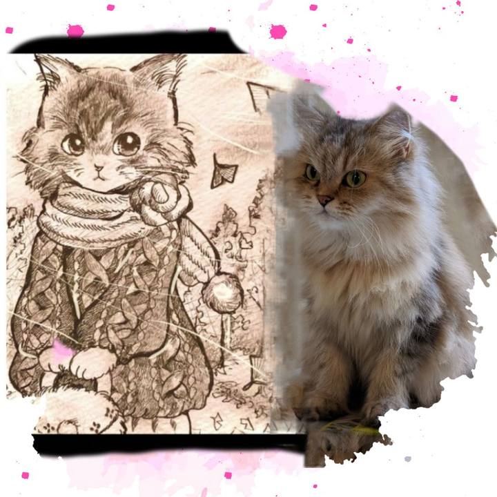 Eae8d7db d7ca 43b4 9fb1 d55094417c95 1662086240238