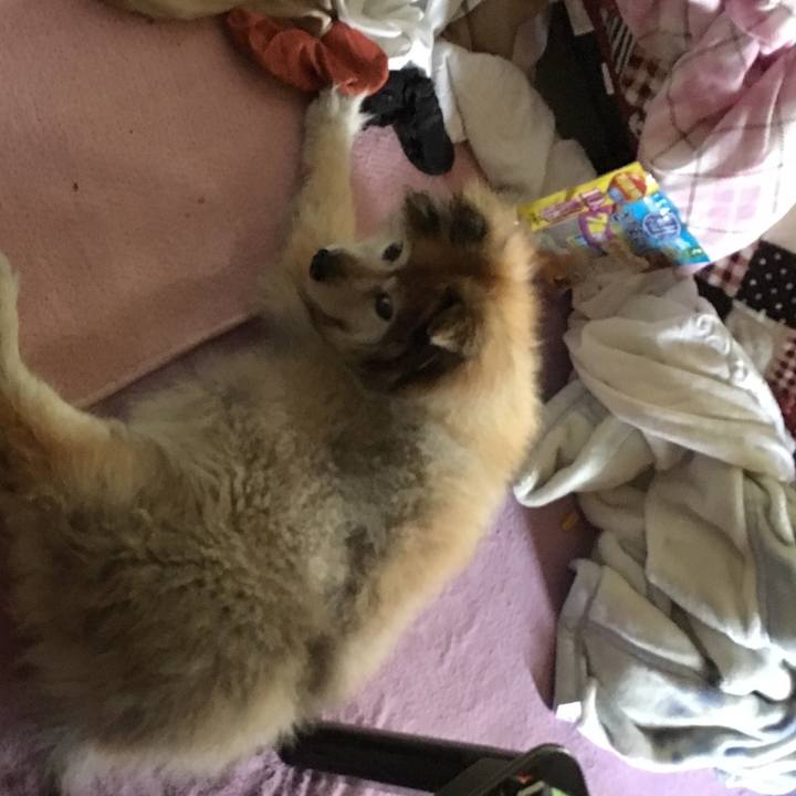 Eae9011c 2406 40f5 9b6d 156a53efb7d4 1601195825843