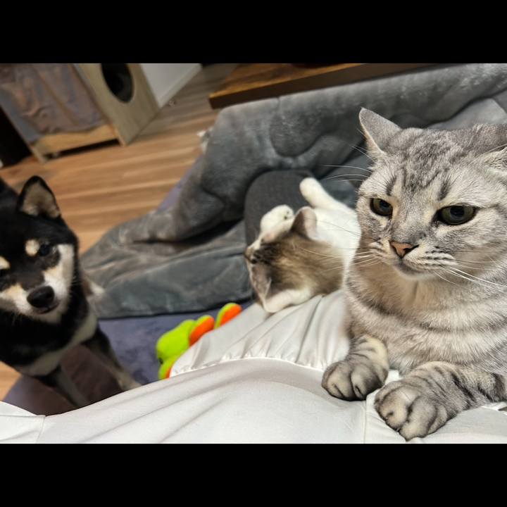 Eae9013b aa27 4afd 9a5f 02c0b2904e02 1737366038256