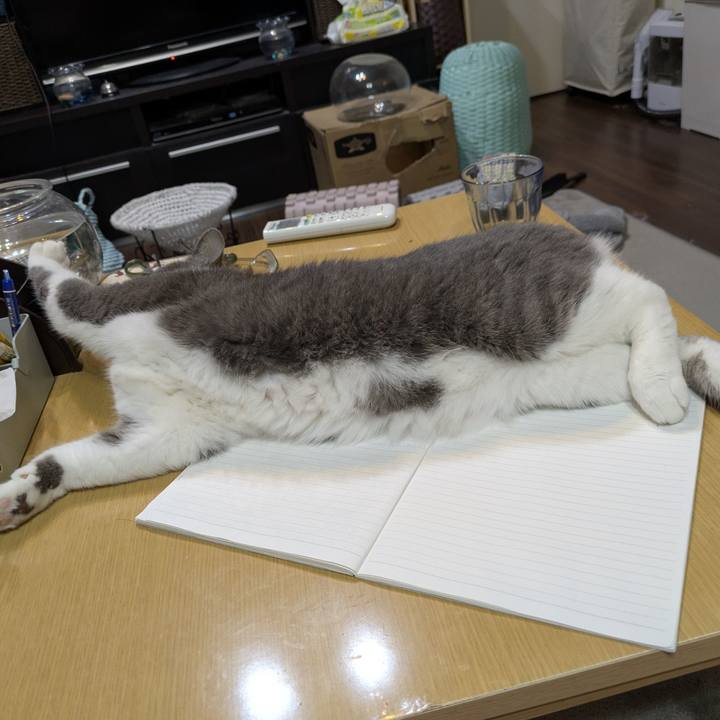 Eae90c7a 95cb 452a b7fb 7ab53a5e8476 1753446534777