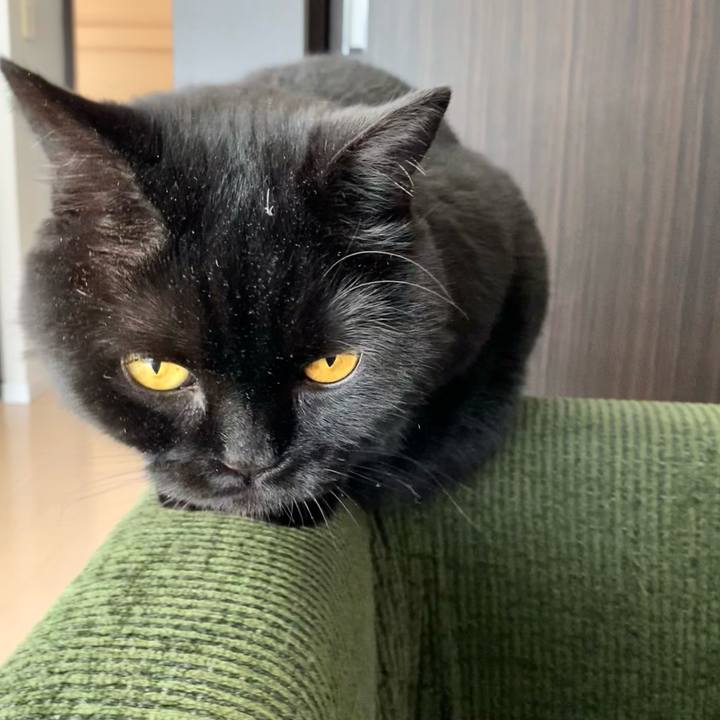 Eae91772 a71b 4379 82ec 6cce89c293f2 1684460888602