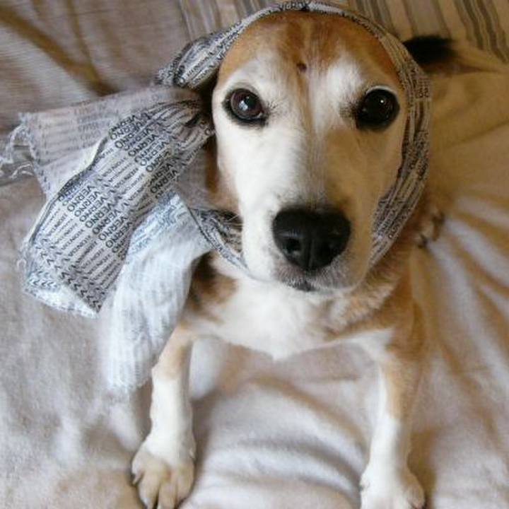 Eae920df 83ea 4a32 9320 9b44e99b2c38 1656287560056