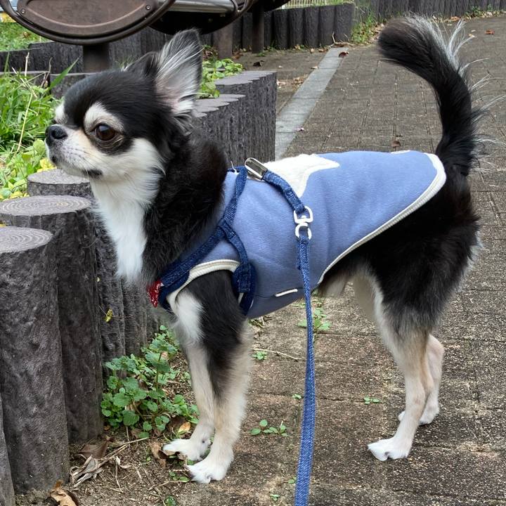 Eae92cd4 4b22 4c8e b689 ecc53f669ee5 1670161338257