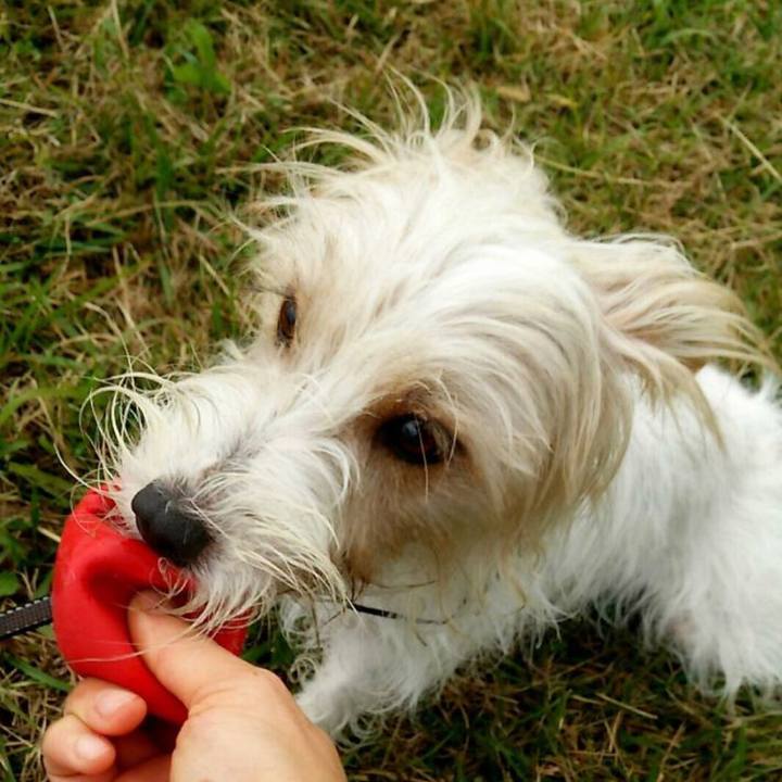 Eae93a95 cb2a 4a11 8ea8 a30d53a55864 1699272019370