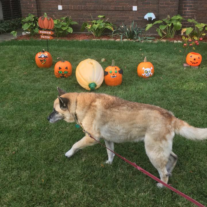 Eae94767 b4cf 4470 9468 06571a0ccef6 1571092217628