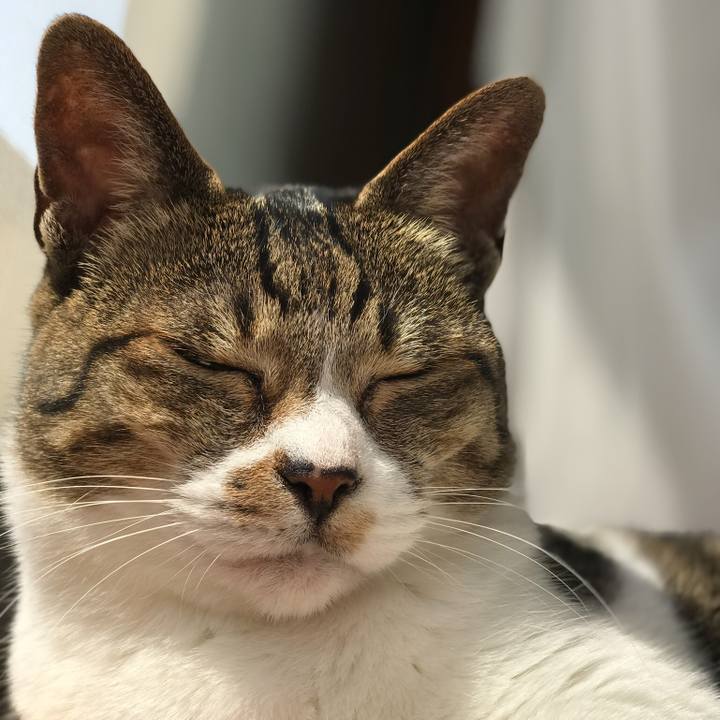 Eae976f9 d6a4 4c76 932f 433aae70c5d5 1524187969723