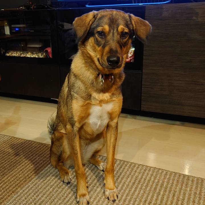 Eae9bfd4 803f 43a8 bddd 3cf2f0282c37 1704113848476