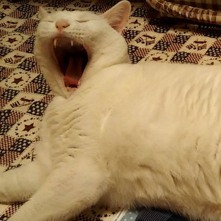 Eae9c714 3ed0 443e 8ac5 3e344b6ac954 1596547420820