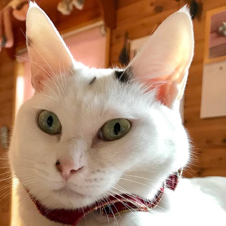 Eae9d8eb 9cf5 445f 9c08 21d4fa8ba14a 1567294696954