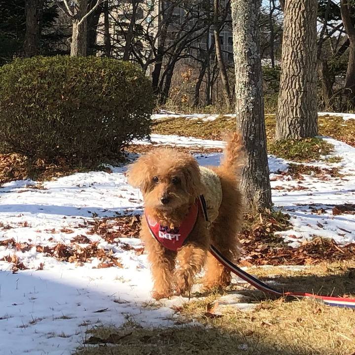 Eae9da1f cb29 444f 8639 a7b73a319381 1642578974678