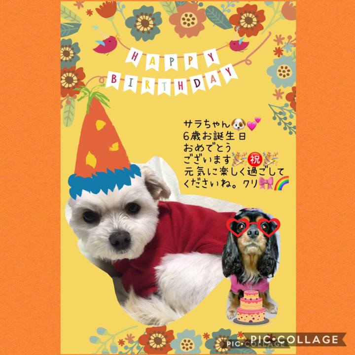 Eae9e396 f0d9 45c2 a966 3c42f6ab2dae 1553494625634