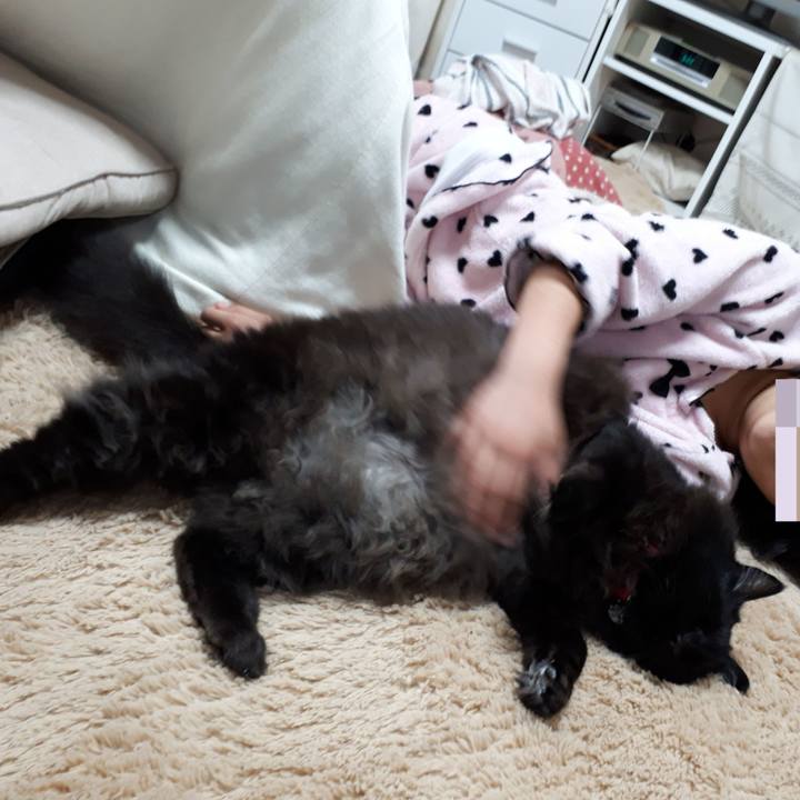 Eaea317f 77bc 4855 aae7 c2cce2a93191 1522272399043