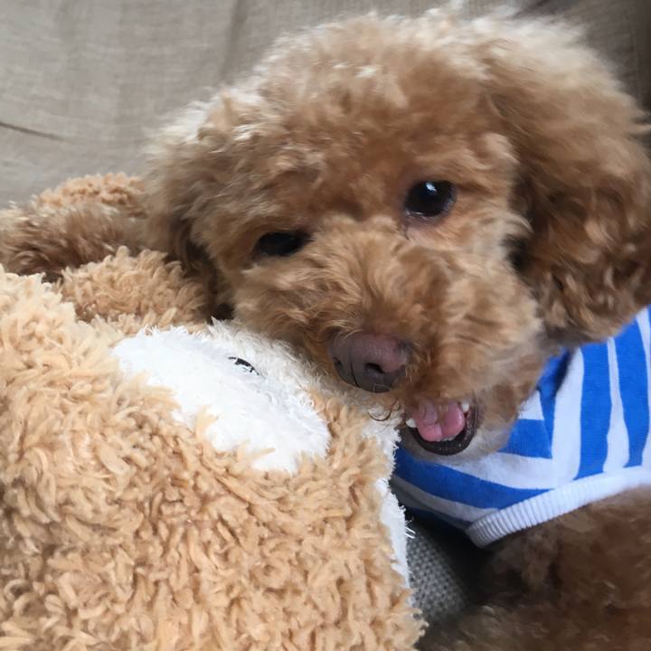 Eaea3914 245f 48b2 8008 6646658ebd6a 1526605702540