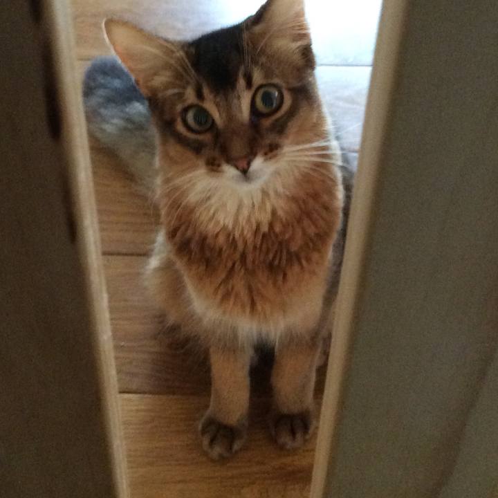 Eaea54fb 1c53 4d3a ba31 ba72bcab55d9 1567648629723