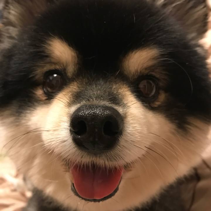 Eaea5bff d0ed 4636 b3b3 589bce91cad2 1530803363546