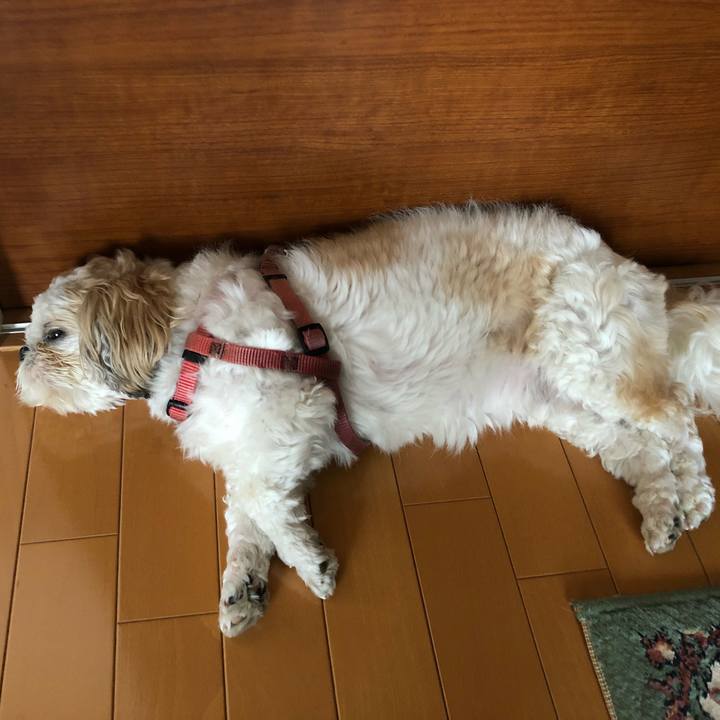 Eaeacb0e 7595 46ab 9518 3103ae44c653 1533678680925