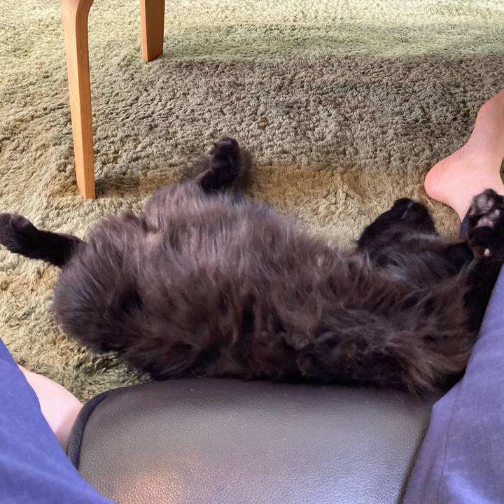 Eaeaeae0 c64e 497e 9a85 3464a170a16c 1752380453770