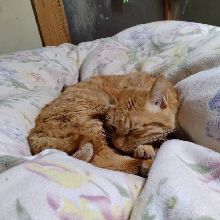 Eaeb1bfb 1edb 4bcb b4b5 a44e358f60ba 1672403870252