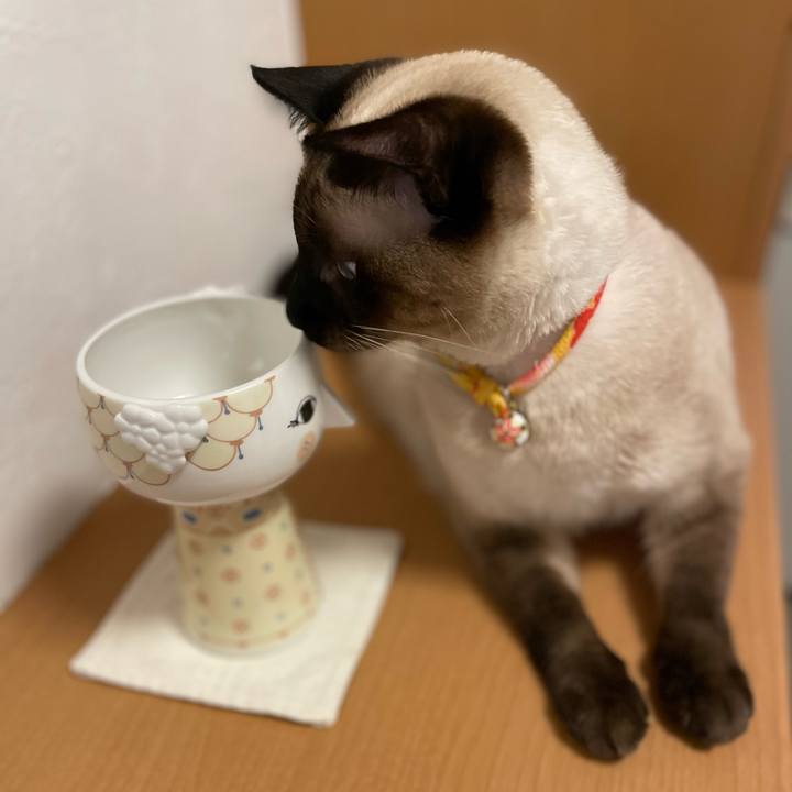 Eaeb1f02 0d29 41d8 8395 58d70278b846 1721937259343