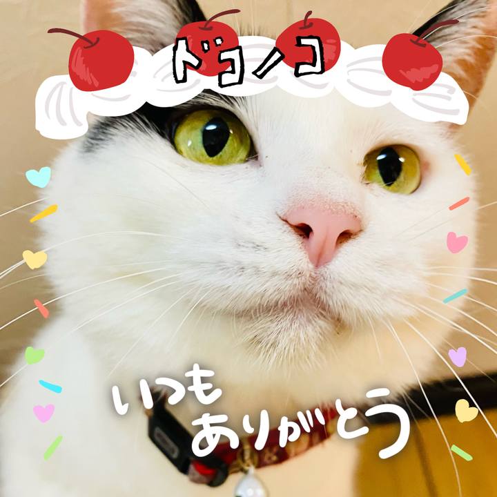 Eaeb2489 a4e9 4e0a aa81 8315d6e952c7 1686000005672