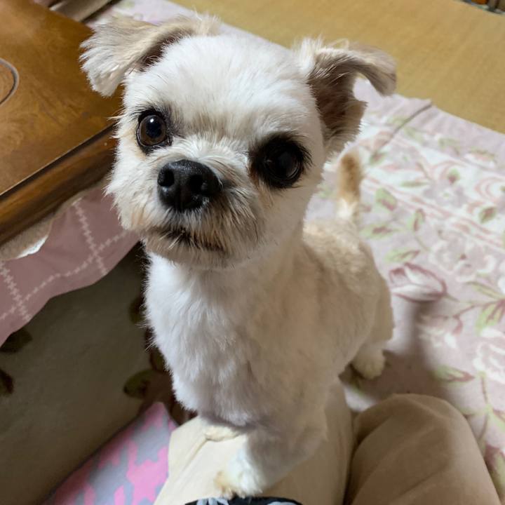 Eaeb7175 6c85 465d 9f62 e954a75fe33f 1564609023552