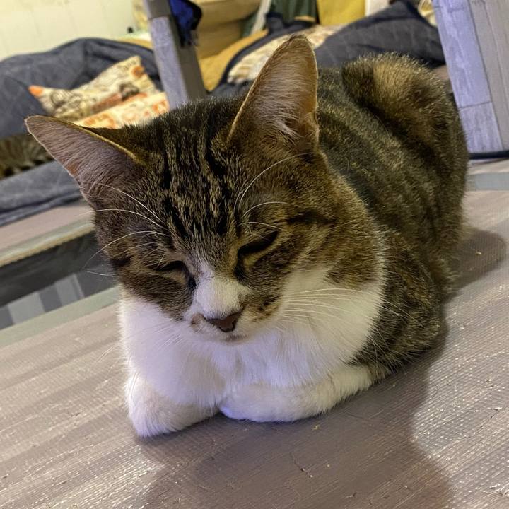 Eaeb835e 9c71 49d3 8b98 a797ef9e429d 1650978832550