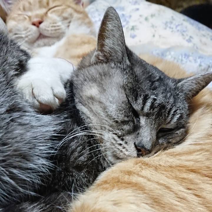 Eaeb8813 0ef2 44ba 8377 5b5f4c7f5f38 1578916103764