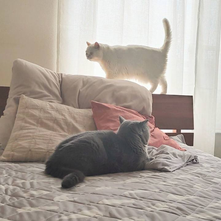 Eaebd1b2 521d 418d bb3d f0e176267425 1661399158474