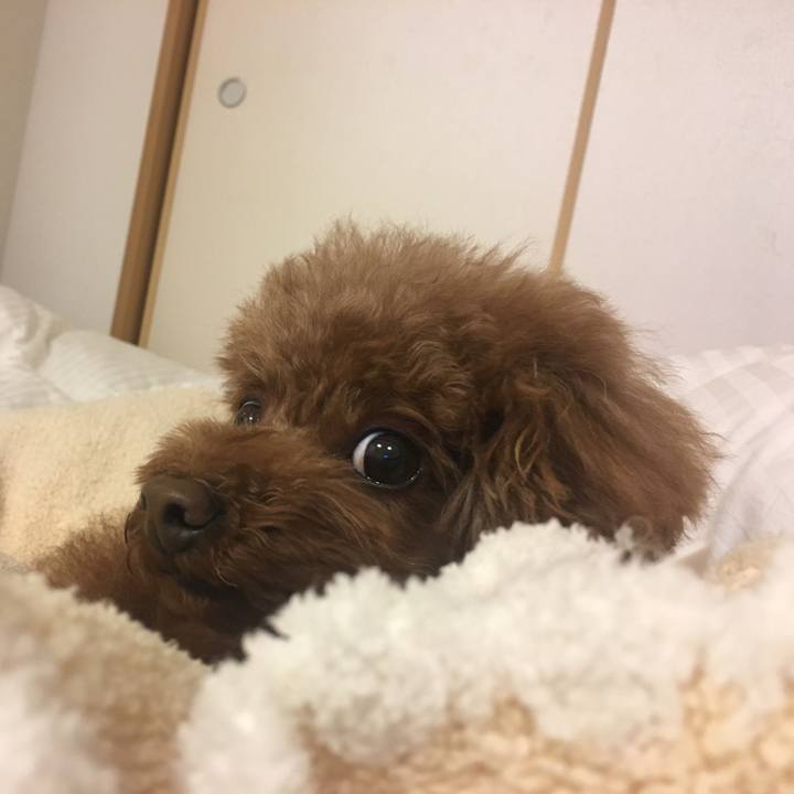 Eaebd2fc 1986 4341 80e5 2fe46d085dfc 1550056799168