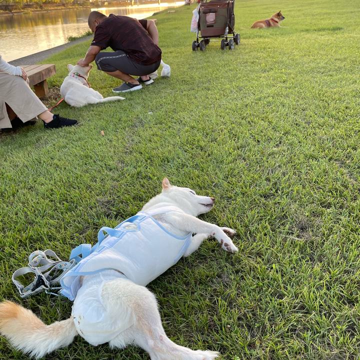 Eaebe769 d5cc 4595 a1ab 6b57e4977ad4 1663682982844