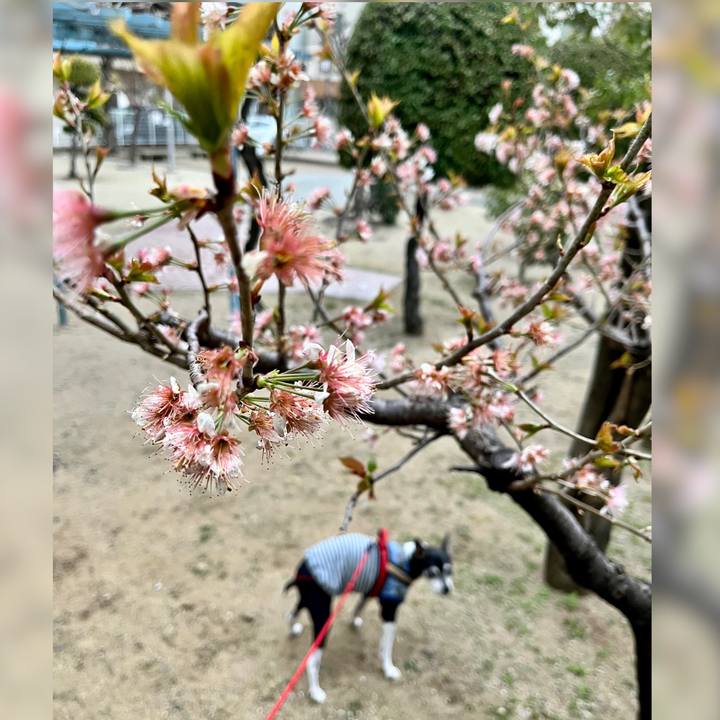 Eaec4e51 ae35 4149 9dcd 2c418eb5070c 1647559119972