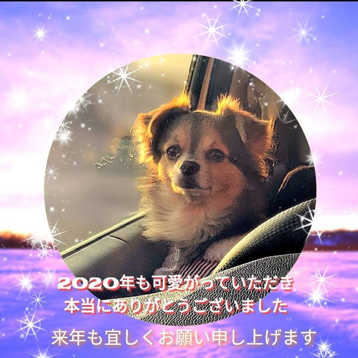 Eaec5132 697f 4763 95ec fd4a5a3ffcdf 1609409044384
