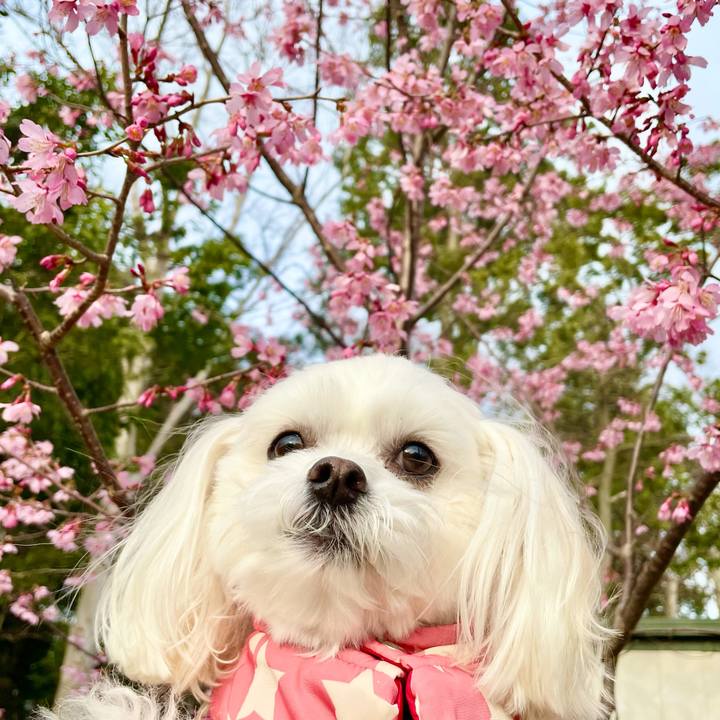 Eaec7ad2 785b 4c27 ae6c ca08b5690754 1614846881113