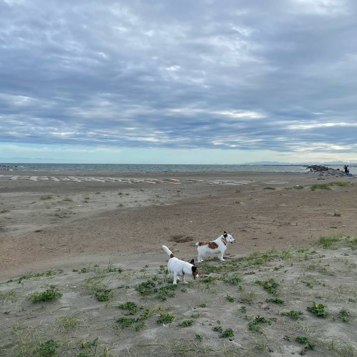 Eaec7b7a 0ef8 46a7 b34d d8f24d86bb23 1726442328706