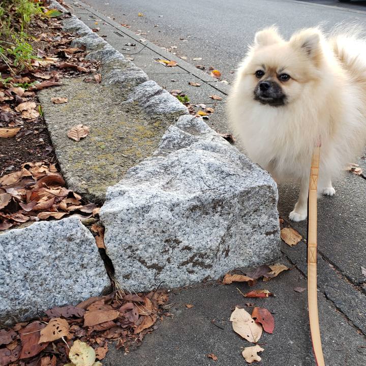 Eaec8524 cf5f 4675 a0e2 0c9acc1f2caa 1634303397010