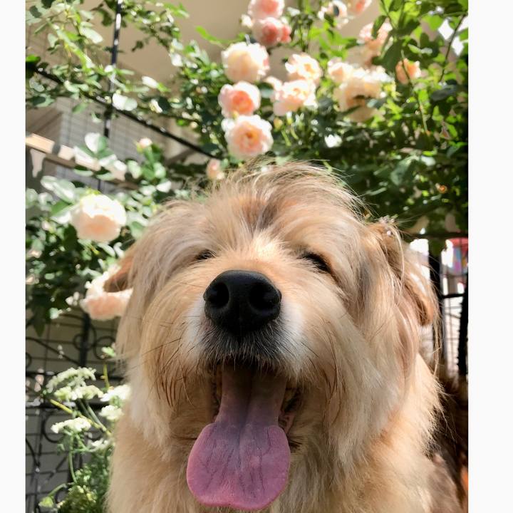 Eaec944c 0d24 4a68 a2ba 14857389e055 1589430793637